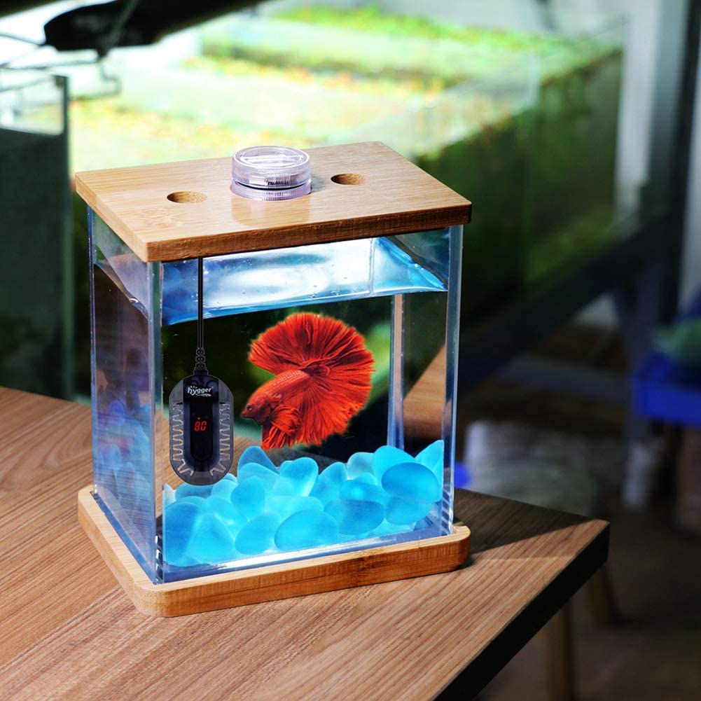Hygger 50W/100W Submersible Digital Display Mini Aquarium Heater for Small Fish Tank, Compact and Fast Heating Thermosta