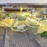 Stainless Steel Vegetable Processing Machine 4.25KW Fruit Air Dryer