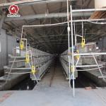 A-Type Q235 Steel Baby Chicken Cage With Hot Galvanized Wire Mesh