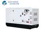 250 KVA AC 3 Phase Silent Diesel Generator 50HZ Frequency Brushless