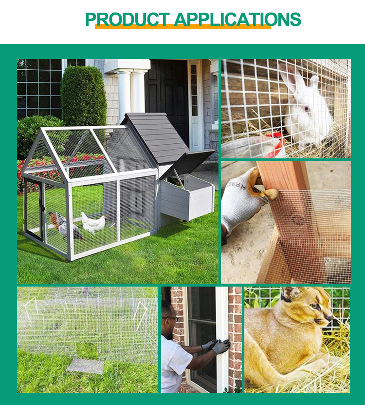 Galvanized Welded Wire Mesh Screen for Long-Lasting and Durable Protection