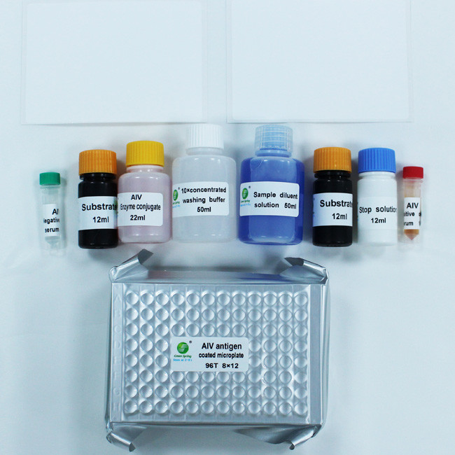 Avian Influenza Virus ELISA Anti Body Test Kit Diagnostic 96Wells/Kit ISO9001