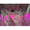 Buy cheap Quantum Board 240Watt Tent 2x2 Led Grow Light from wholesalers