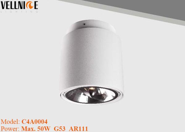 Buy cheap AR111 Surface Mount LED Lights , ceiling recessed cob led downlight housing business from wholesalers
