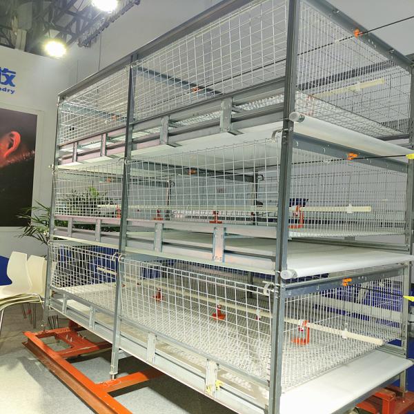 Buy cheap Galvanized 380V 120/150 Broiler Chicken Cage For Poultry SGS Certificated from wholesalers