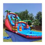 Commercial Bounce House Inflatables Water Slide Inflatable Double Lane Slide
