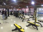 Befreeman Factory Direct Price Gym Fitness Equipment Adjustable Decline Bench