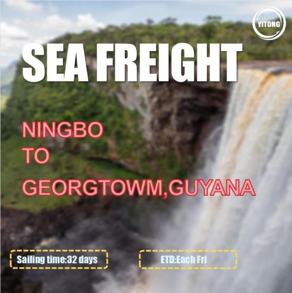 Buy cheap Port To Port HPL Liner Sea Freight Logistics From Ningbo To Georgetown Guyana from wholesalers
