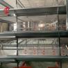 Buy cheap 2.2m Layer Battery Cage System For Capacity 120-200 Chickens Adela from wholesalers