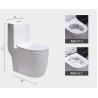 Buy cheap Dual Flush Washdown Siphonic One Piece Toilet Models P Trap S Trap from wholesalers