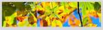 Buy cheap WLED 300cd/M2 19 Inch LCD Display 1920x360 30 Pins Lvds TFT LCD Display from wholesalers
