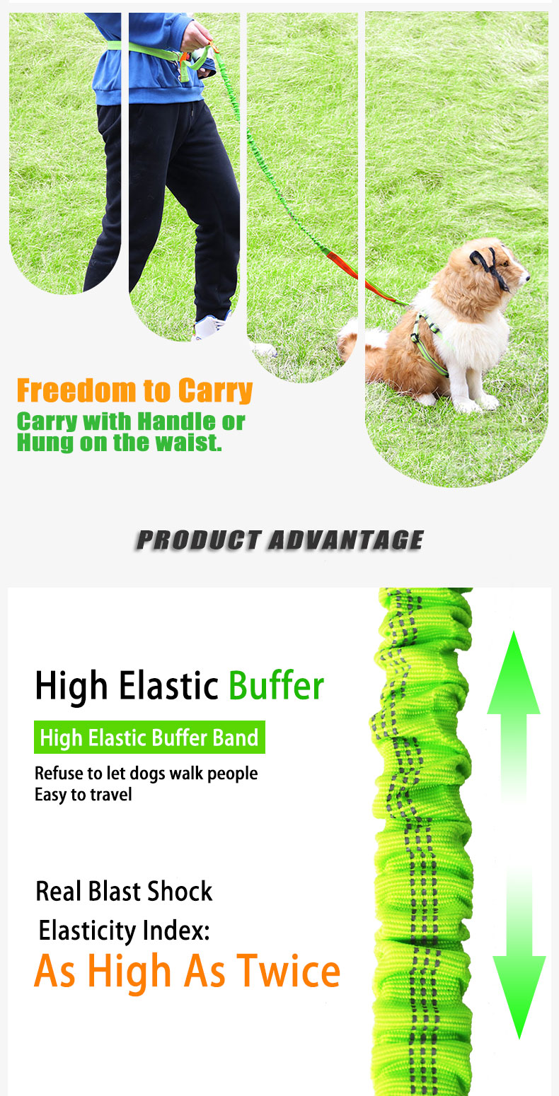 Adjustable Hand Free Outdoor Running Nylon Retractable Dog Leashes Waist Belt Running Bungee Dog Leash