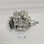 Hyunsang Loader Parts Fuel Injection Pump 2855784 2852499 For 580M