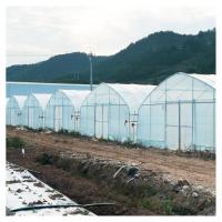 Buy cheap Stable Structure Polyethylene Film Greenhouse / Vegetable Tomato Plant product