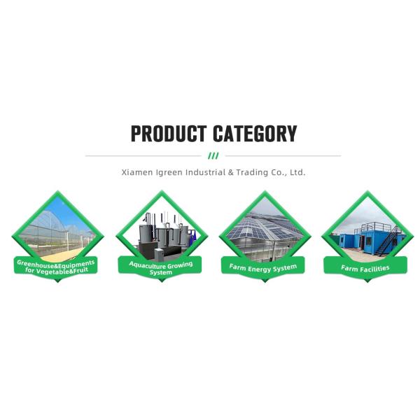 200 Micron Plastic Film Greenhouse Shade Cloth Roof Height 7 Meters for Strawberry