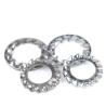 Buy cheap 304 Stainless Steel External Serrated Lock Washer DIN Standard from wholesalers