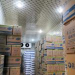 New cold storage room for meat potato vegetable beaf cold room air cooler