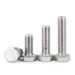 Grade 12.9 Stainless Steel Bolt M22 Outer Hexagon Bolt Black