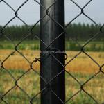 Chain Link Fence Iron Galvanized Heavy Duty Open Size 25*25mm 50*50mm 60*60mm 80