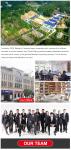 Chinese Outdoor Cake Fireworks Pyrotechnics Salute For Festival Celebration