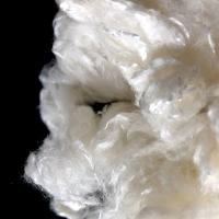 Buy cheap 1.2D×38mm Antibacterial Bamboo Fiber Biodegradable For Spinning / Filling product