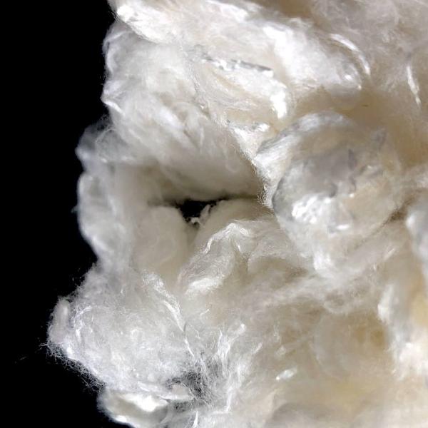 Buy cheap 1.2D×38mm Antibacterial Bamboo Fiber Biodegradable For Spinning / Filling from wholesalers