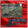 Buy cheap ISO9001 50 Gallon Plastic Plant Pots Fast Growth Tree Root Container from wholesalers
