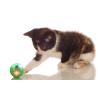 Buy cheap ABS Material Cute Cat Toys Sound And Light Ball Three Type Sounds ROHS/CE Approved from wholesalers