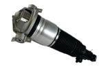 Adaptive Rear VW Volkswagen Struts Phaeton Porsche Q7 7l8616019d