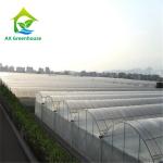 Agricultural Commercial Industrial Plastic Film Greenhouse With Complete Systems