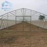 Buy cheap Fruit And Veggies PE Film Greenhouse Single Polyethylene Film Greenhouse from wholesalers