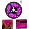 Buy cheap 24v Grow Lights for Indoor Plants, Full Spectrum led Grow Light Plant Light for Indoor Plants with Red+Blue+Sunlike from wholesalers