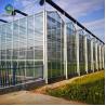 Buy cheap Large Size Generator Plastic Sheet Greenhouse With Project Commercial Hydroponic Systems from wholesalers