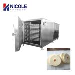 Food Fruit And Vegetable Vacuum Pump Freeze Dryer Lyophilizer Customised