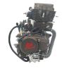 Buy cheap DAYANG LIFAN Motorcycle Engine Assembly Single Cylinder Four Stroke Style with Pump from wholesalers