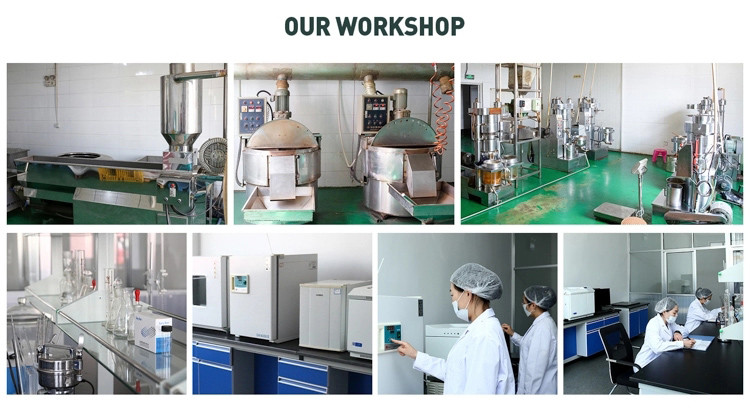 Food Grade Evening Primrose Healthy Edible Oil