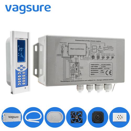 AC240V / 110V Steam Bath Equipment Wall Mounted / Floor Mounted Style CE