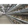 Buy cheap Large Capacity Poultry Egg Farm Equipment A Type Hot Dip Galvanized Steel from wholesalers