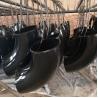 Buy cheap Gas Carbon Steel Butt Welded Steel Pipe Fitting SCH40 Elbow 6 Inch from wholesalers