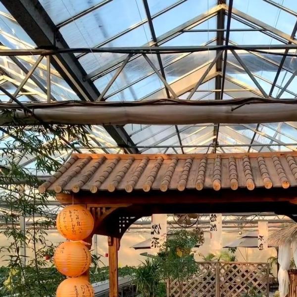 Buy cheap Advanced Hydroponic Vegetable Growing In Large Glass Greenhouse from wholesalers