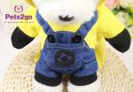 4kg M 38cm Chest Teddy Dog Apparel For Festival