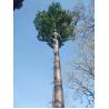 Buy cheap Mobile Artificial 50m Self Supporting Antenna Mast from wholesalers