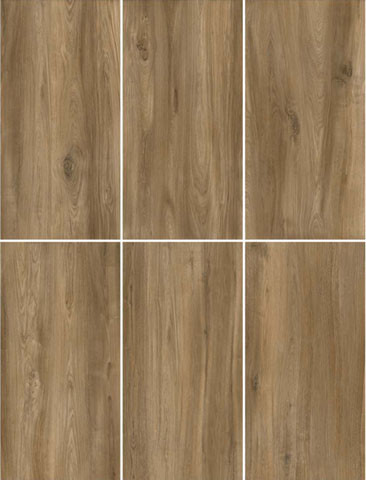 Dark Brown Wood Grain Matte Antique Finish Curatin Wall Porcelain Tile For Living Room 600x1200mm