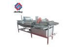 3000KG/H Vegetable Fruit Washing Machine Salad Cleaning equipment