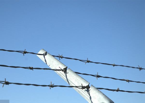 Farm Protection Single Strand Galvanized Steel Barbed Wire Fence Construction