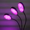 Buy cheap 12H Plant Grow Lamp from wholesalers
