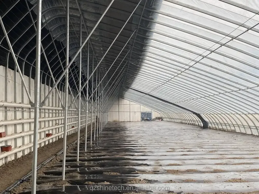 Single Layer Brick Wall Solar Greenhouses 8m-16m Width With Insulation Blanket
