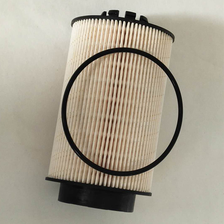 Engine Parts Element Fuel Filter 10289138 PU10008X SN70316 FF5629