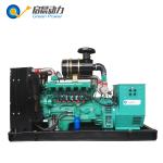 500KW LPG Generator Set for Sale