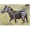 Buy cheap Stainless steel wire rope mesh protect luggage from wholesalers